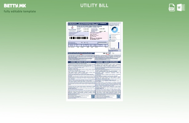 модерен стил Молдавија Молдовагаз комунална сметка. шаблон